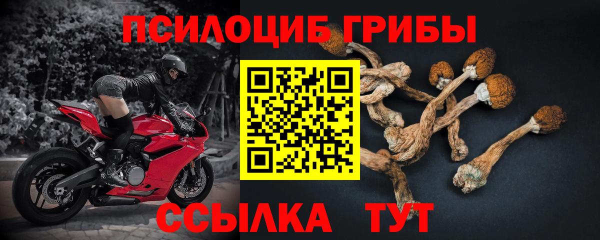 Галлюциногенные грибы мухоморы Соль-Илецк