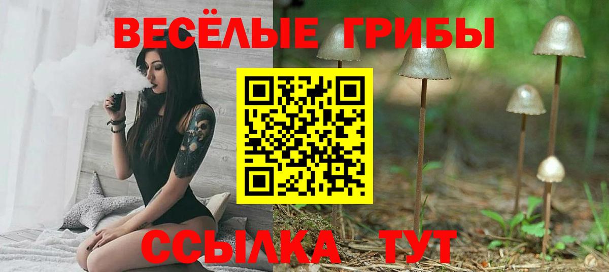 Соль-Илецк  Галлюциногенные грибы мицелий  Псилоцибиновые грибы прущие грибы  купить закладку  Вход с VPN 